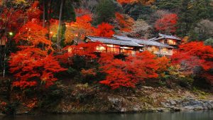 Rekomendasi Hotel Instagramable di Malang - Riuma Resort
