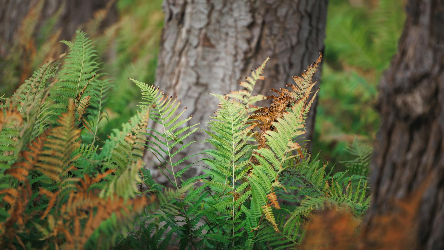 Efek Ekonomi Makro Untuk Bisnis 2026